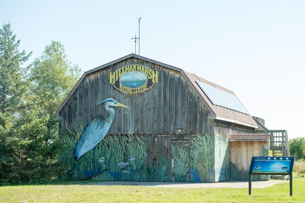 Ruscom Shores Conservation